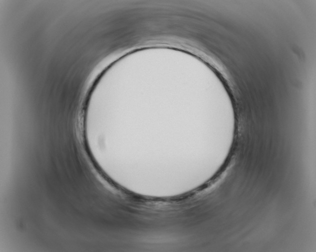 X0000112881517200910021343