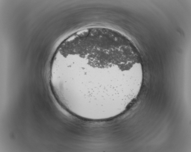 X0000112881519200910021343