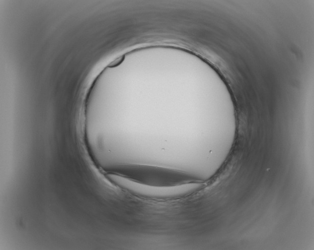 X0000112881520200910021343