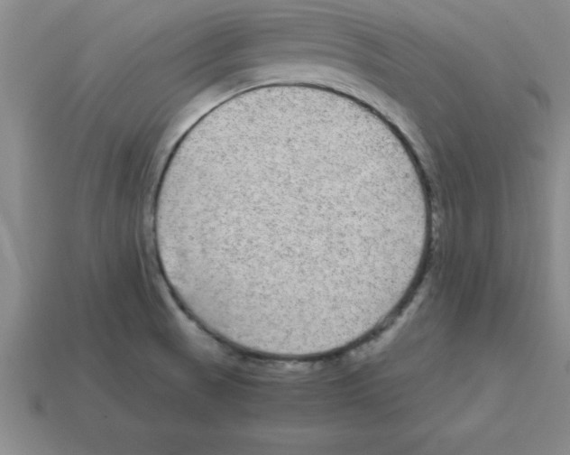 X0000112881521200910021343