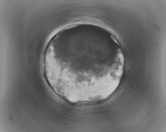 X0000112881522200910021343