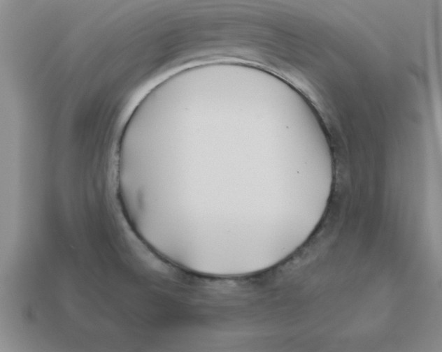 X0000112881524200910021343