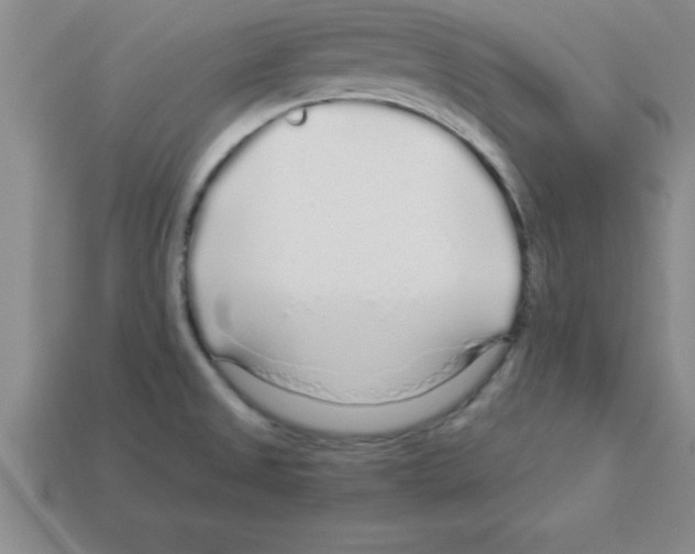 X0000112881525200910021343