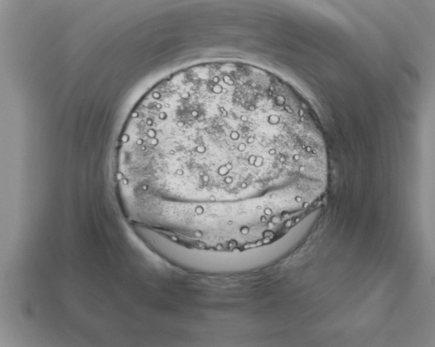 X0000112881527200910021343