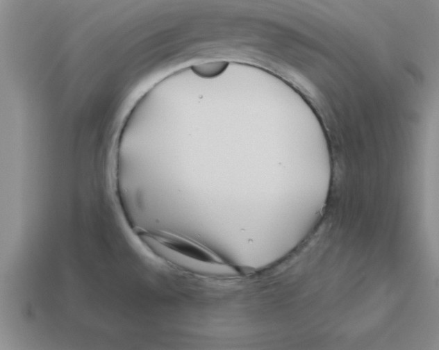 X0000112881528200910021343