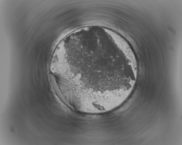 X0000112881529200910021343