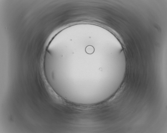 X0000112881530200910021343