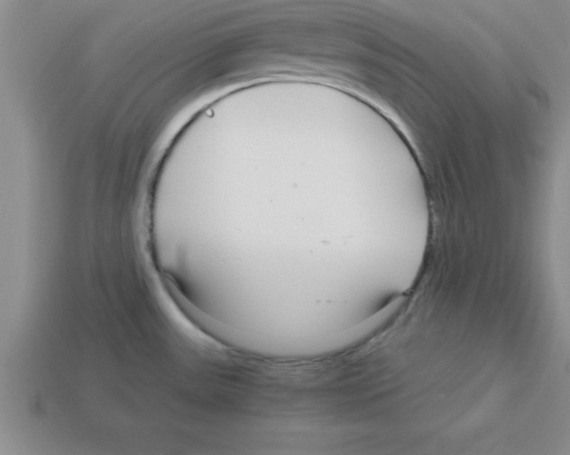 X0000112881531200910021343