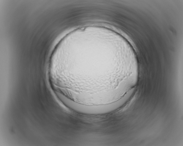 X0000112881533200910021343