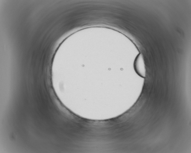 X0000112881534200910021343