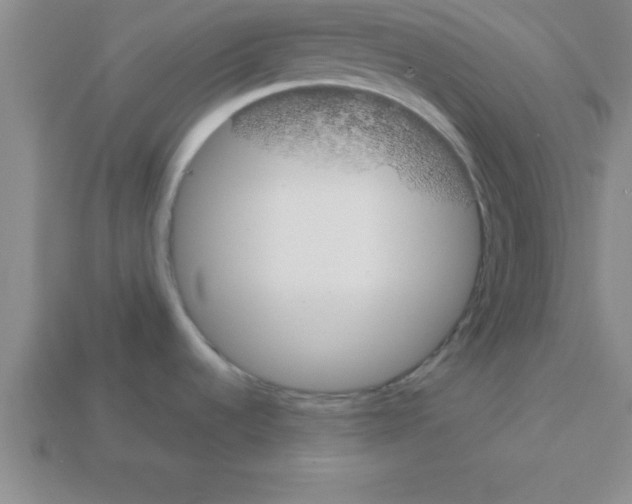 X0000112881536200910021343