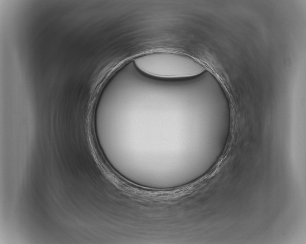 X0000112890001200908211039
