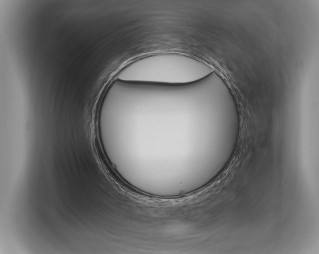X0000112890002200908211039