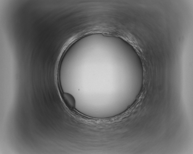 X0000112890003200908211039