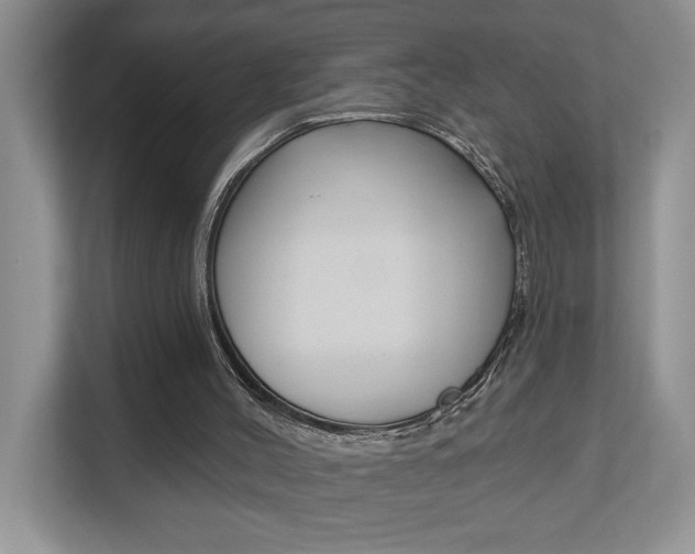 X0000112890004200908211039