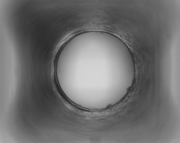 X0000112890005200908211039