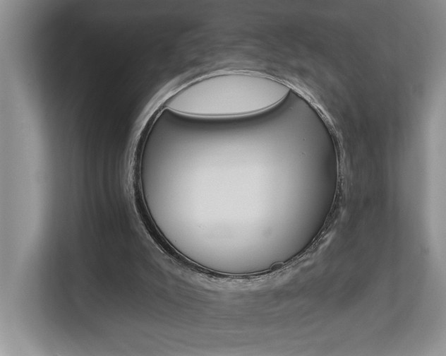 X0000112890007200908211039