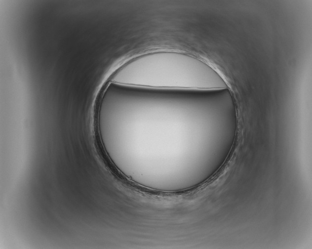 X0000112890008200908211039