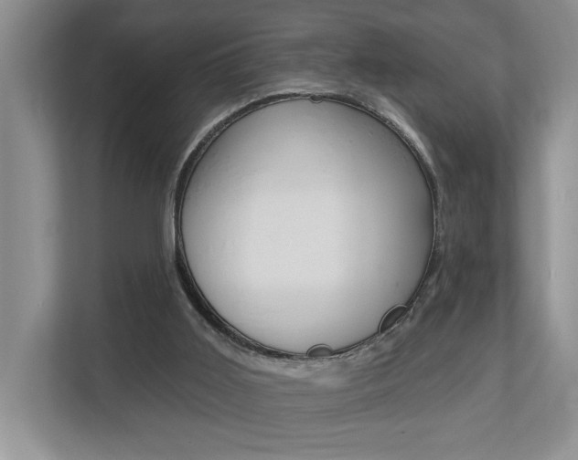 X0000112890011200908211039