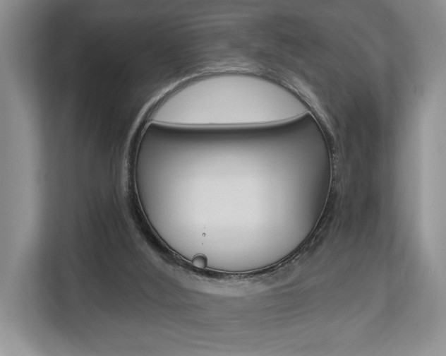 X0000112890012200908211039