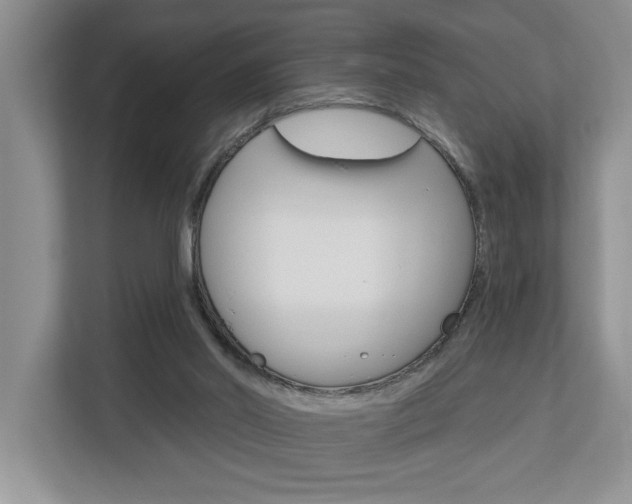 X0000112890014200908211039