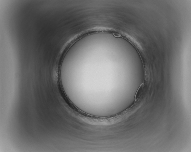 X0000112890015200908211039