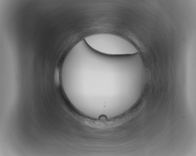 X0000112890022200908211039