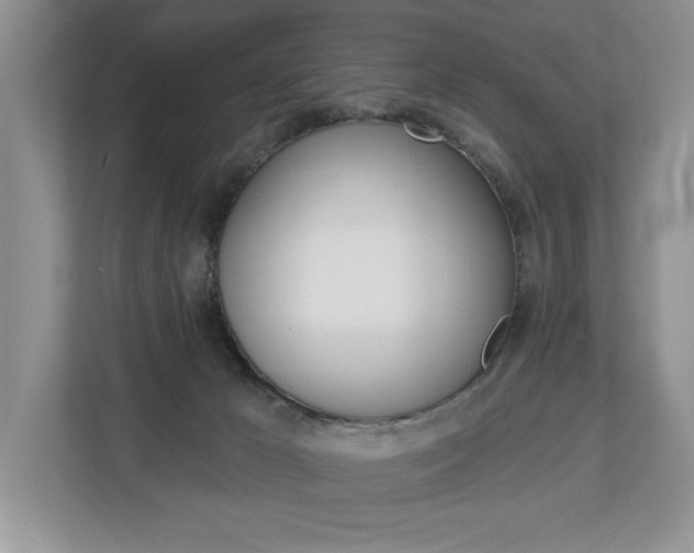 X0000112890029200908211039