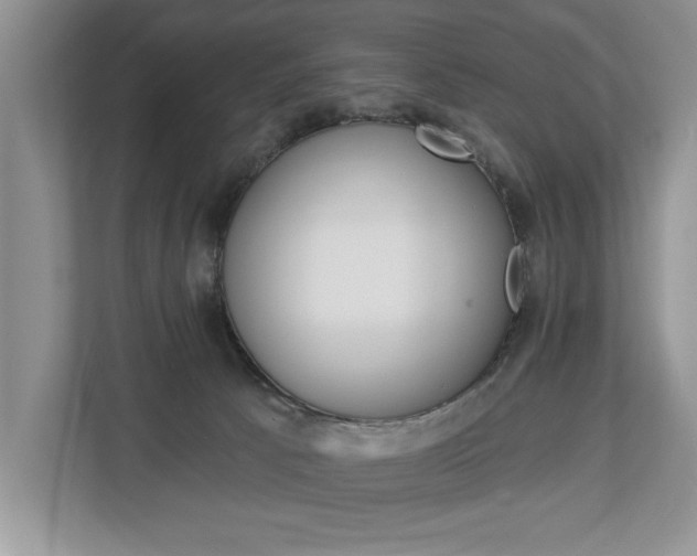 X0000112890033200908211039