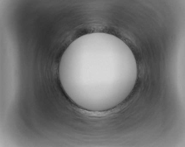 X0000112890034200908211039
