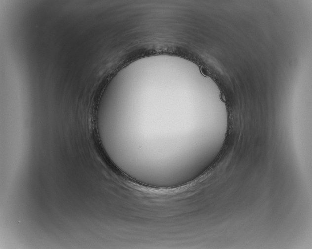 X0000112890039200908211039