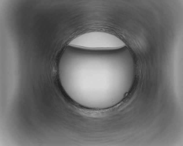 X0000112890040200908211039