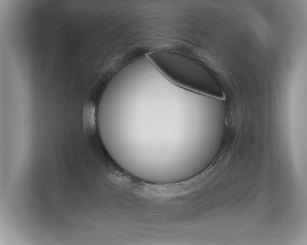 X0000112890041200908211039