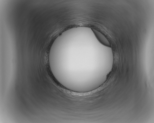 X0000112890043200908211039
