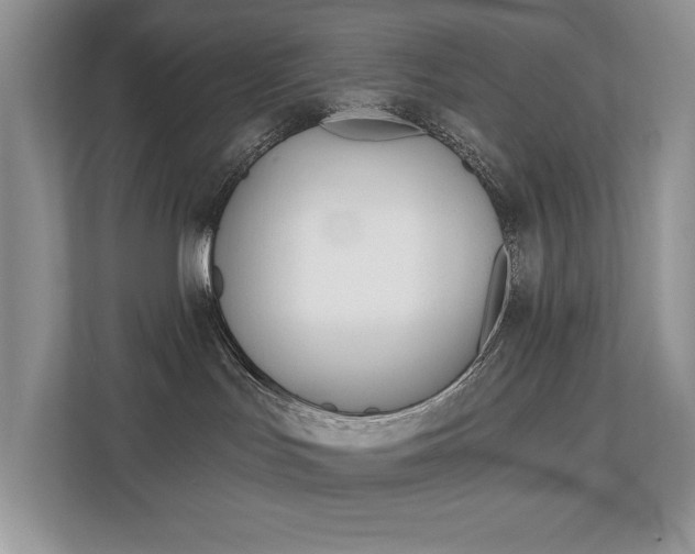 X0000112890047200908211039