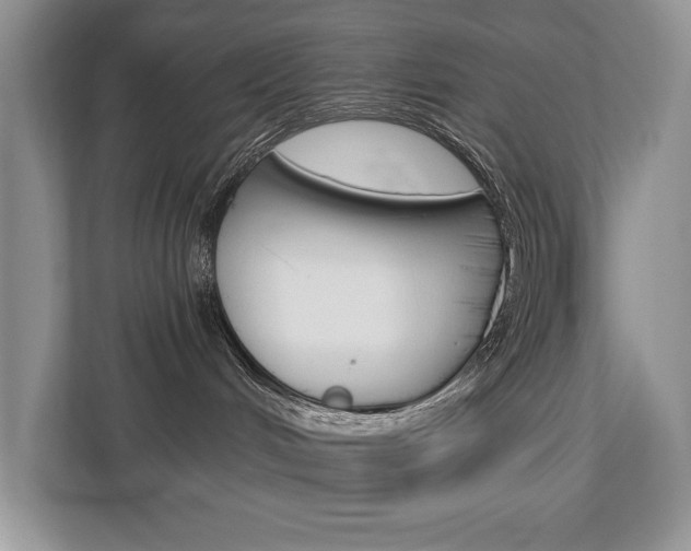 X0000112890048200908211039