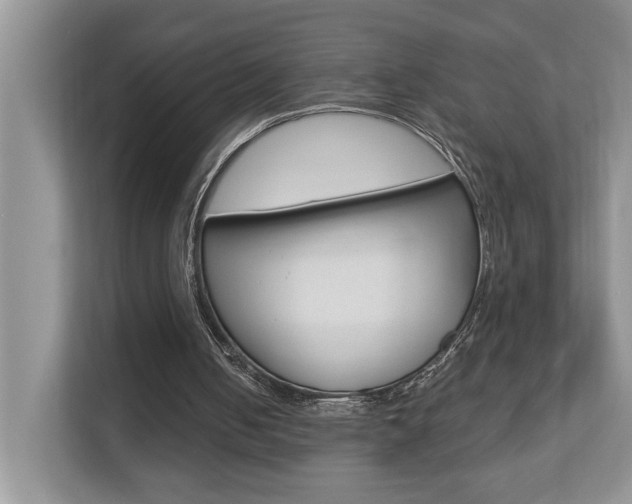 X0000112890050200908211038