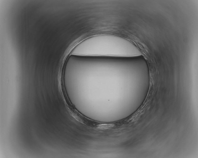 X0000112890051200908211038