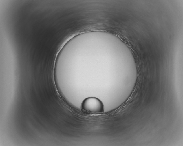 X0000112890052200908211038
