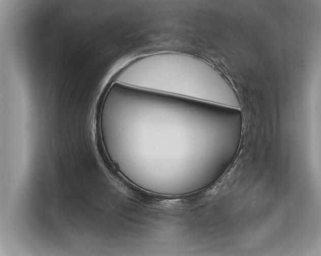 X0000112890054200908211038