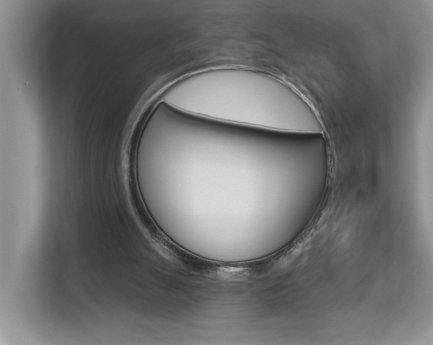 X0000112890055200908211038