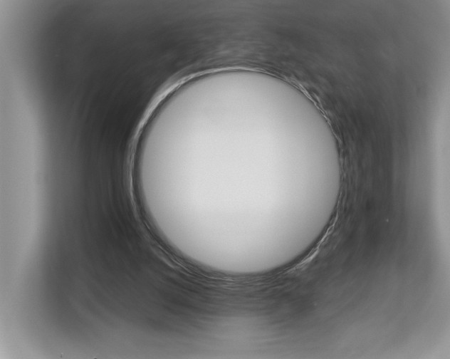 X0000112890056200908211038
