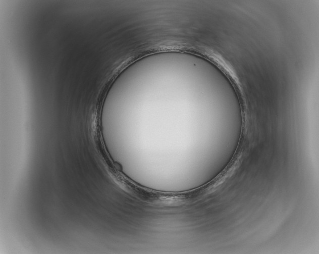 X0000112890057200908211038