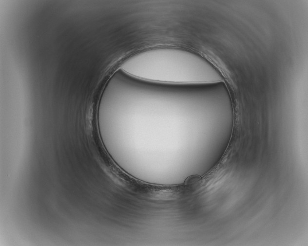 X0000112890058200908211038