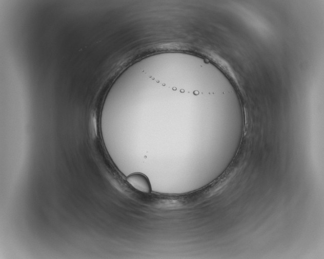 X0000112890061200908211038