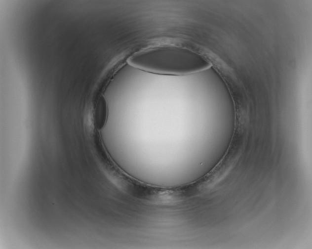 X0000112890064200908211038
