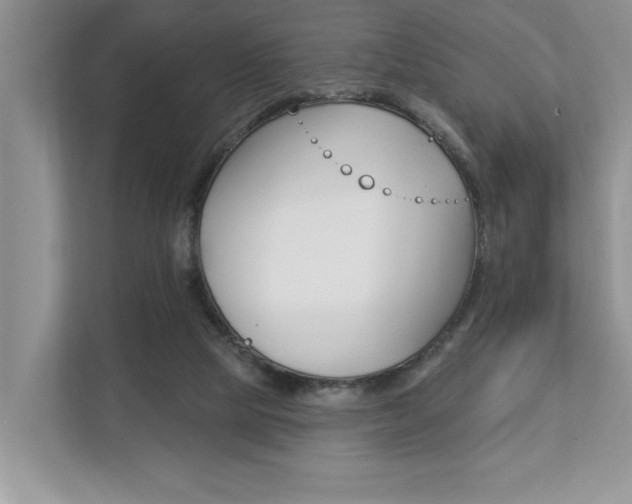 X0000112890065200908211038