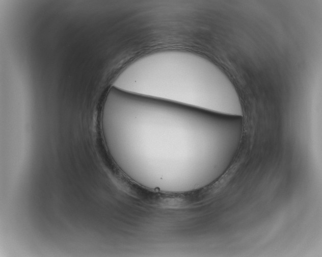 X0000112890066200908211038