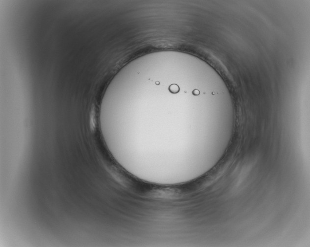 X0000112890069200908211038