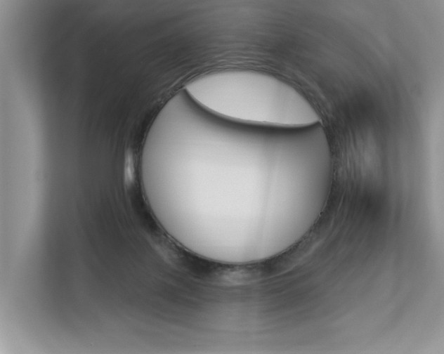 X0000112890075200908211038